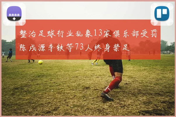 整治足球行业乱象13家俱乐部受罚陈戌源李铁等73人终身禁足
