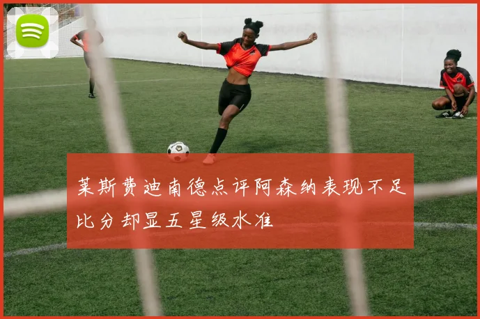 莱斯费迪南德点评阿森纳表现不足比分却显五星级水准