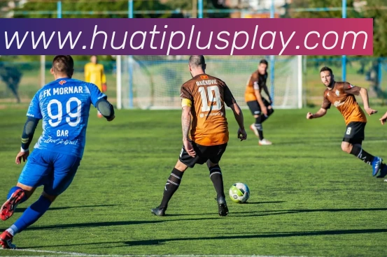 华体会体育平台生态图