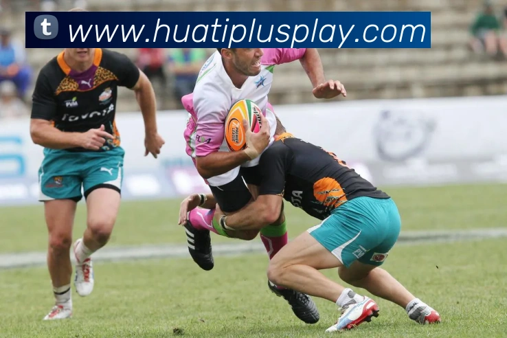 华体会体育APP 封面图